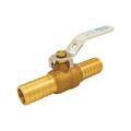 Homestead 0.75 x 0.75 in. Insert Polyethylene Ball Valve, White HO153048